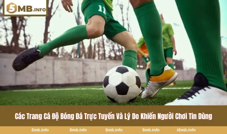 Hệ thống giao diện trực tuyến hiện đại trên nền tảng cá cược 