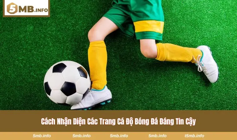 Tốc độ xử lý cược trong thời gian thực của nhà cái 