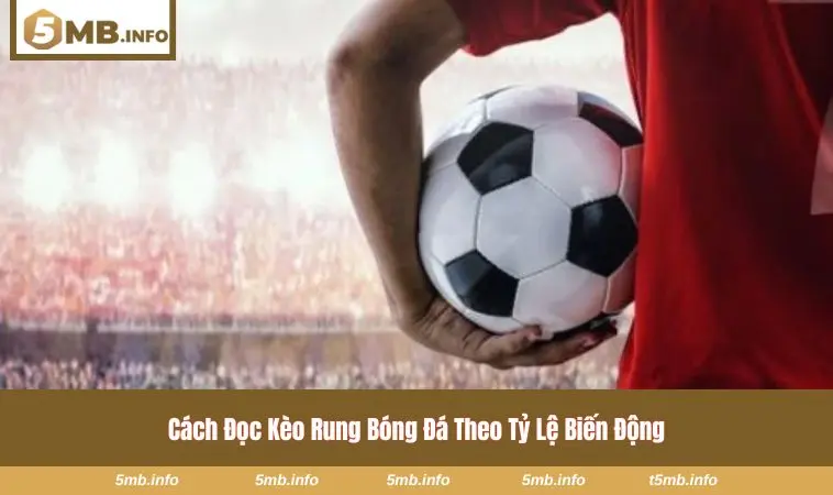 Dựa vào nhịp thay đổi để phán đoán cửa lợi 