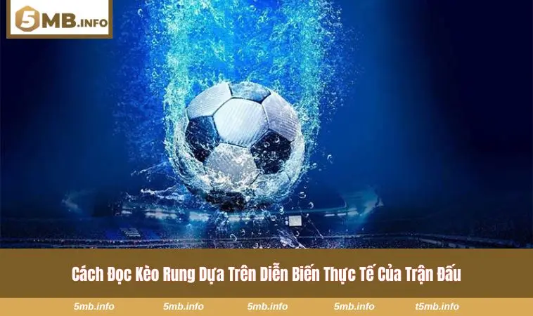 Thời điểm người chơi nhận biết kèo đẹp và tránh bẫy rung 
