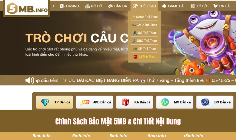 Nội dung chi tiết trong chính sách bảo vệ thông tin 5MB