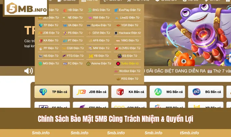 Trách nhiệm và quyền lợi đặc biệt khi tuân thủ