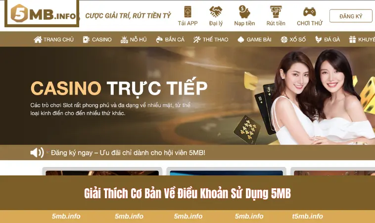 Giải mã lý do vì sao điều khoản sử dung 5MB lại ra đời