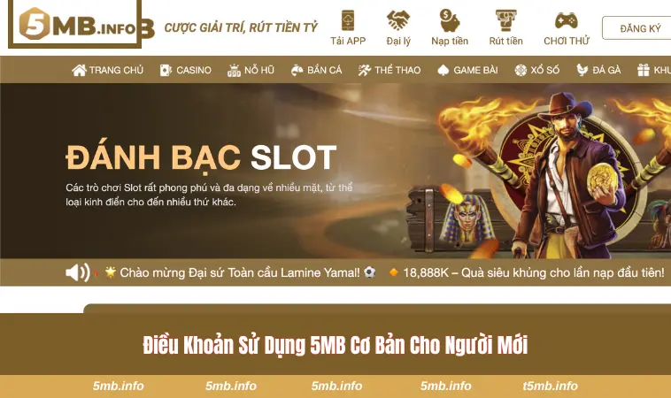 Bộ quy định cơ bản tại 5MB cho người mới