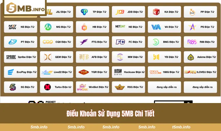 Điều khoản sử dụng tại 5MB chi tiết nhất