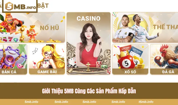 Giới thiệu 5MB - Tổng hợp hạng mục phải thử
