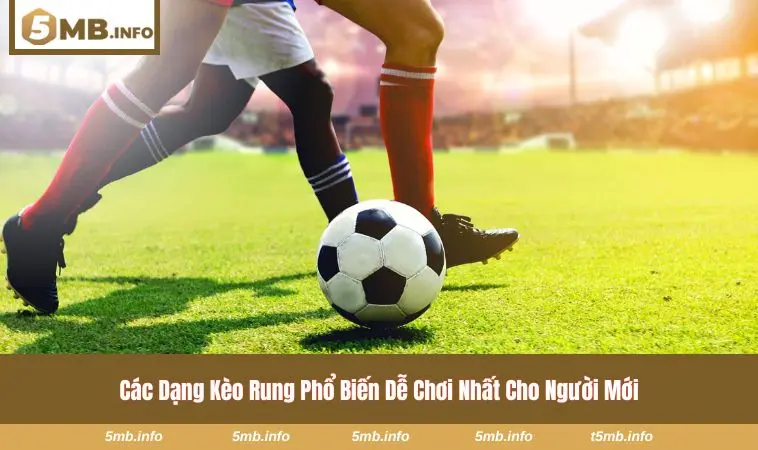 Biến động tỷ lệ kèo trong trận đấu thực tế 