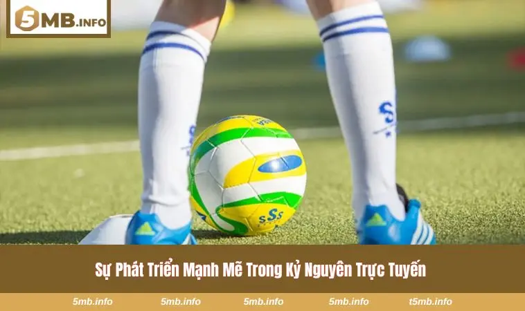 Giao diện nền tảng cá cược bóng đá hỗ trợ người dùng