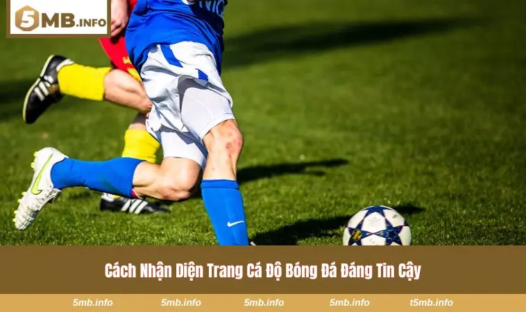 Tốc độ cập nhật kèo trong thực tế trên nền tảng 5MB 